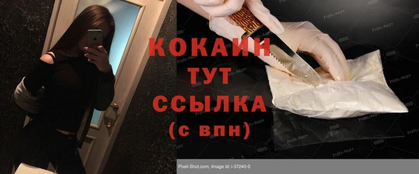 ГАЛЛЮЦИНОГЕННЫЕ ГРИБЫ Осинники