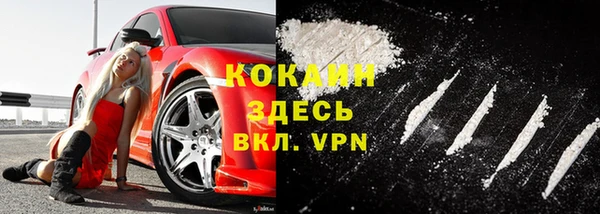 ГАЛЛЮЦИНОГЕННЫЕ ГРИБЫ Осинники