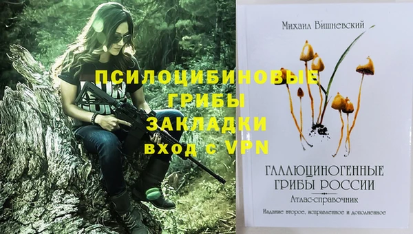 ГАЛЛЮЦИНОГЕННЫЕ ГРИБЫ Осинники