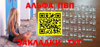 jwh Кингисепп