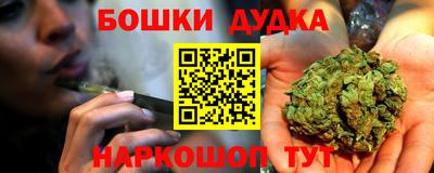 jwh Кингисепп