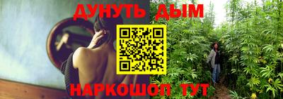 jwh Кингисепп