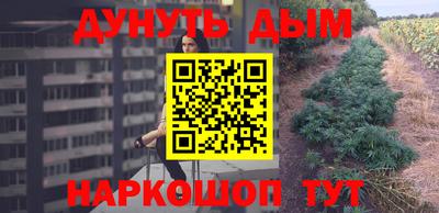 стафф Кимры