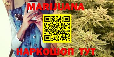 шишки Бийск