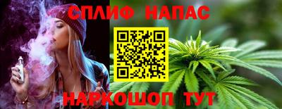 jwh Кингисепп