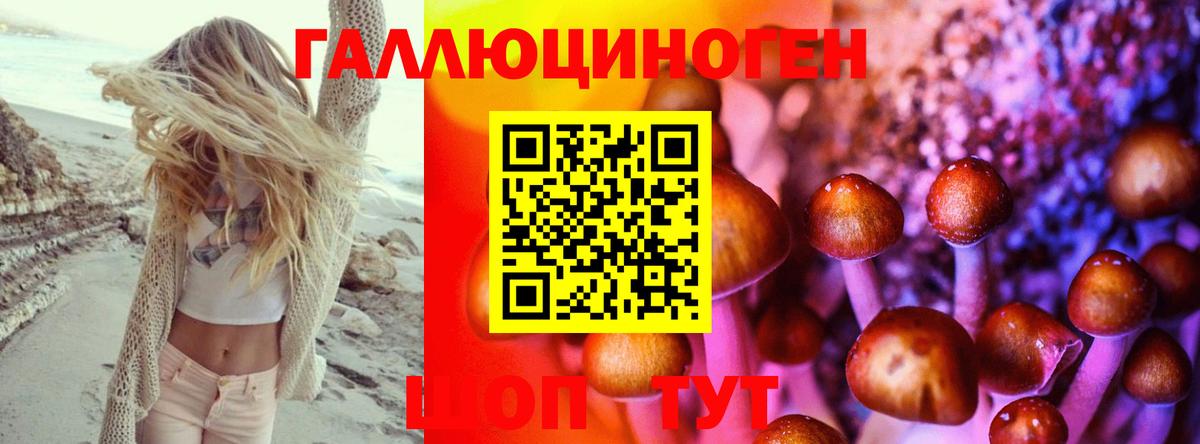 Псилоцибиновые грибы Psilocybine cubensis Кувандык